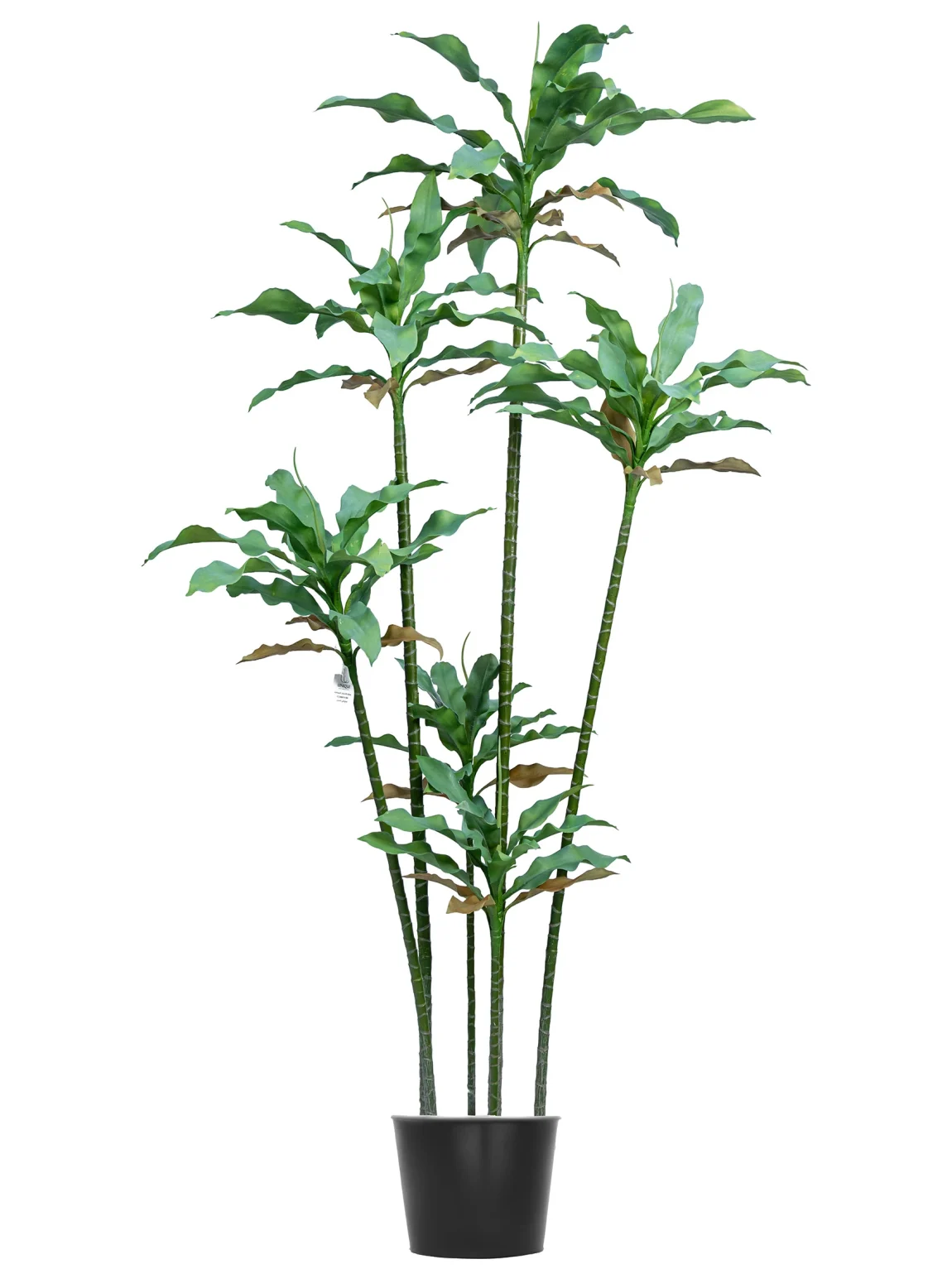 200cm Artificial Agave Tree #LWT-085-20004