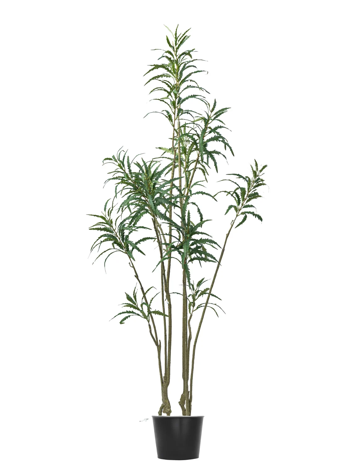 180cm Dizicotka Tree #XYKQM-095-18001 #B