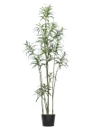 220cm Dizicotka Tree #XYKQM-095-22003 #B
