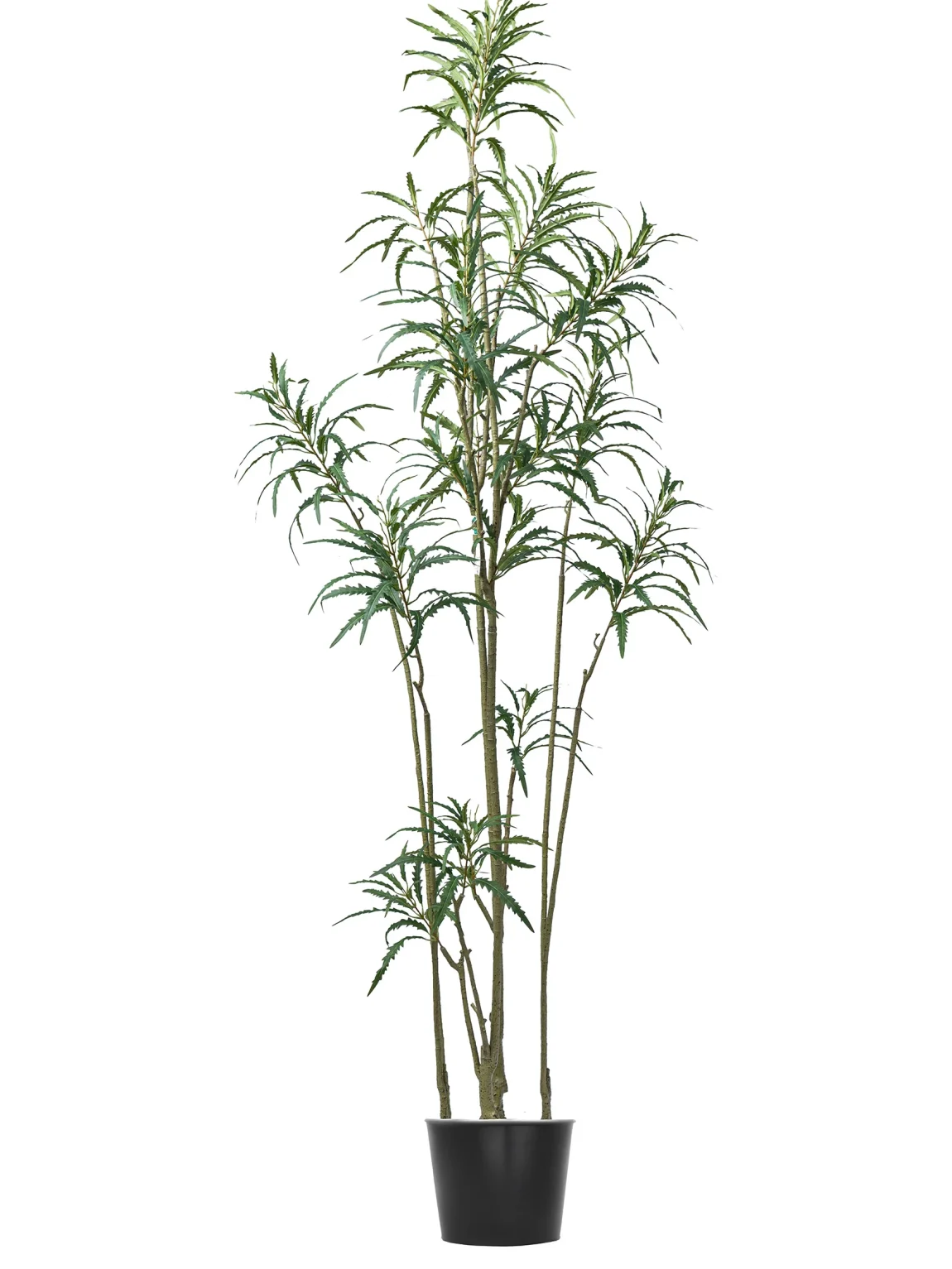 220cm Dizicotka Tree #XYKQM-095-22003 #B