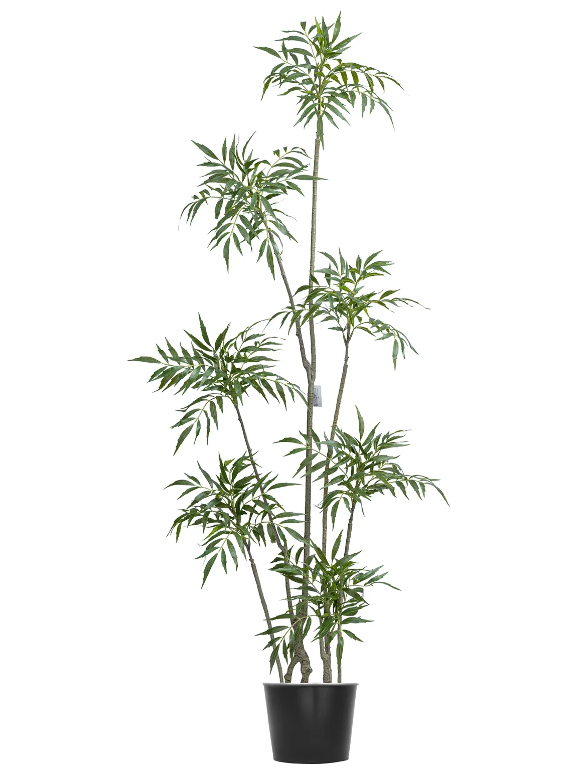 160cm Mahonia Tree #ZYZ-122-16005