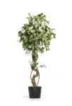 130cm Bougainvillea Tree White -  #SJM-138-13001 #A