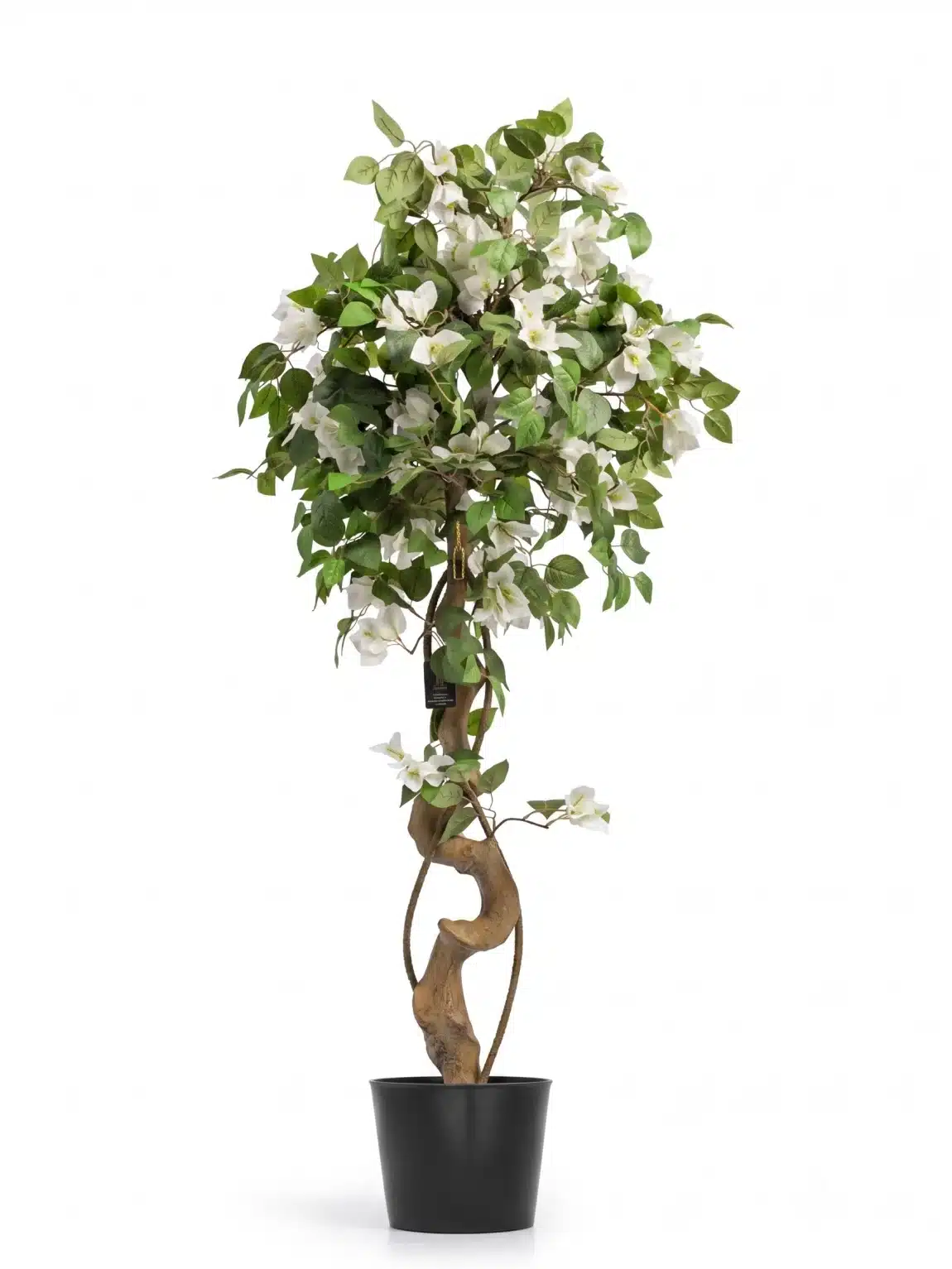 130cm Bougainvillea Tree White -  #SJM-138-13001 #A