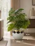 UN Set2 : 60cm Tree with Decorative Pot